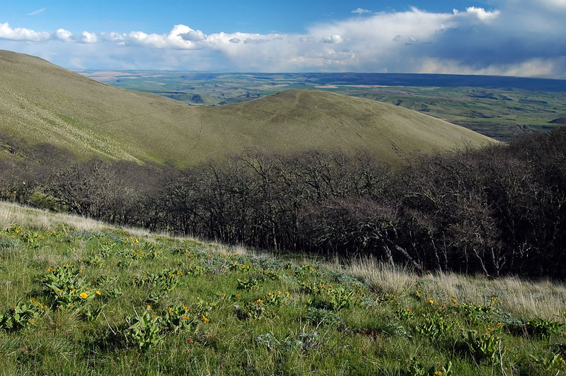 Looking south into Oregon from The Dalles Mountain