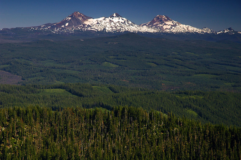 Three Sisters from Browder Ridge summit