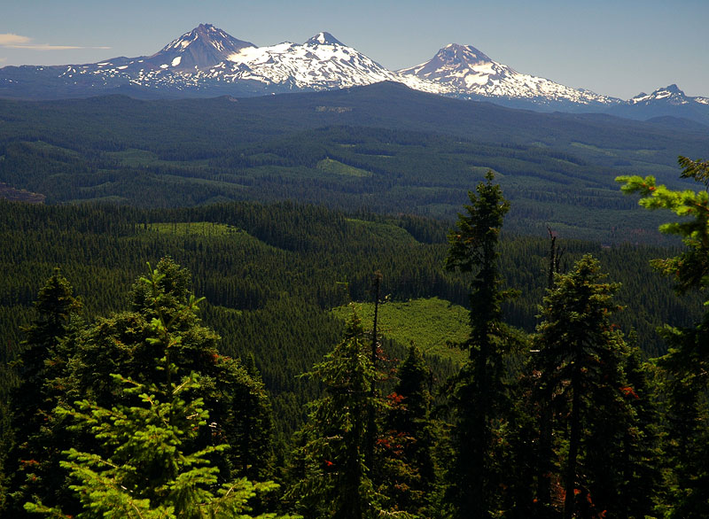 Three Sisters from Browder Ridge trail