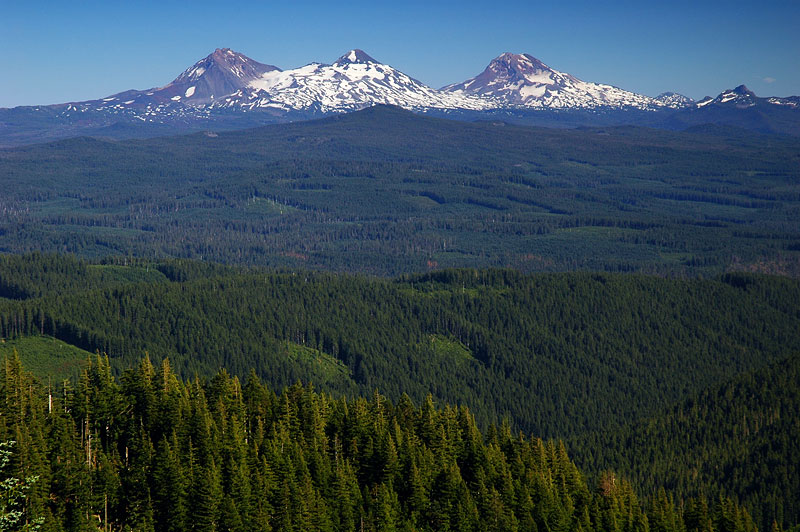 Three Sisters from Browder Ridge trail