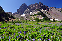 Canyon Creek Meadows Thumbnail