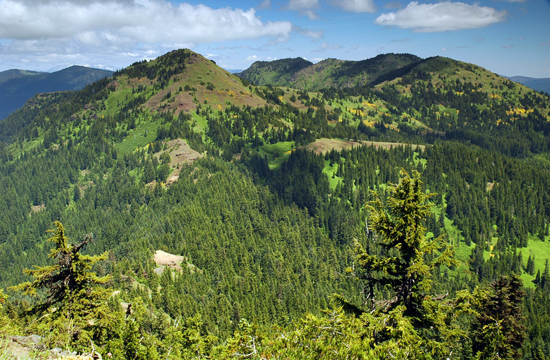 Cone Peak and Echo Mountain from Iron Mountain summit