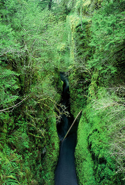 Chasm downstream from High Bridge
