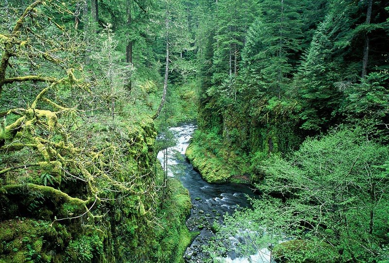 Looking upstream from High Bridge