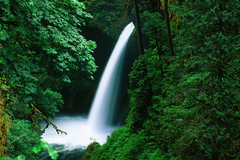 Metlako Falls along Eagle Creek Trail