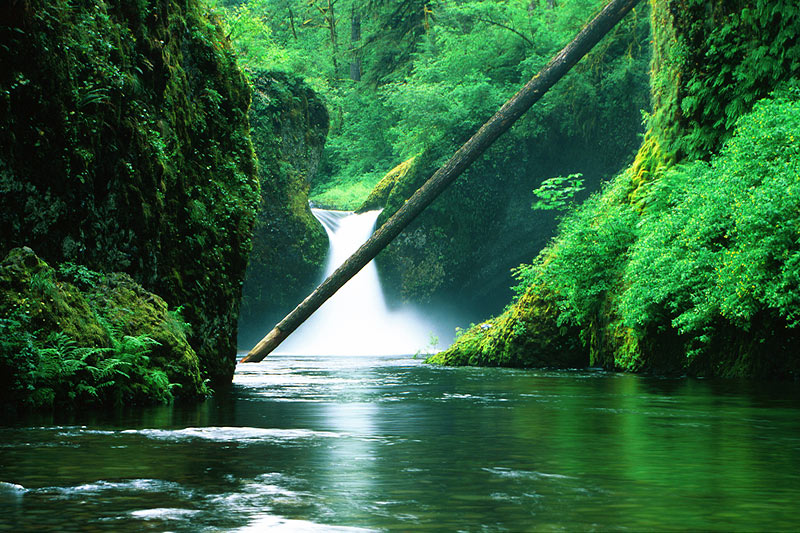 Punch Bowl Falls, Eagle Creek