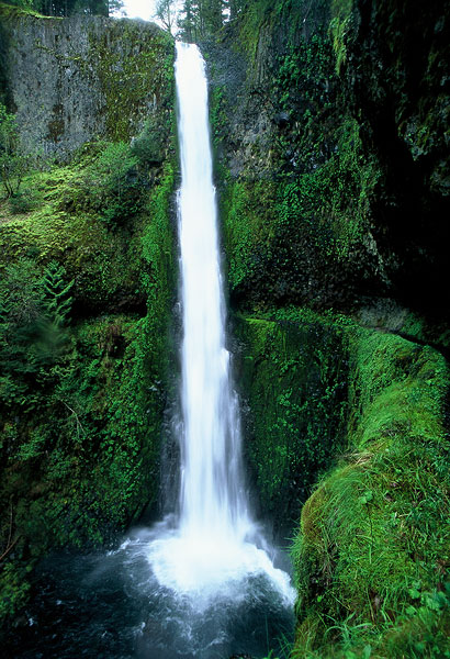 Tunnel Falls along Eagle Creek Trail