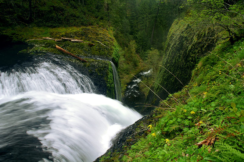 Twister Falls overlook along Eagle Creek