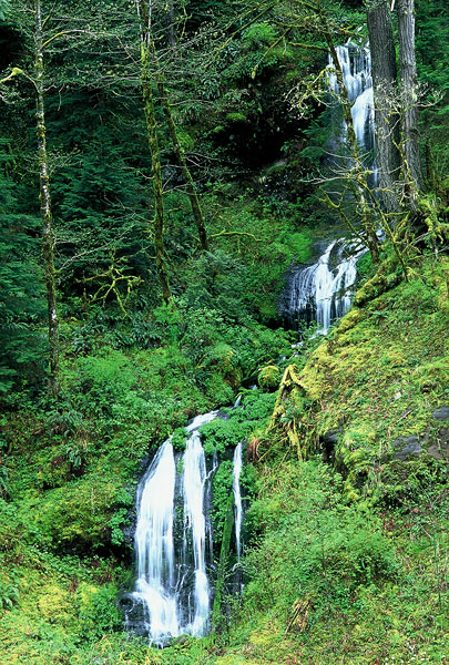 Wauna Falls along Eagle Creek Trail