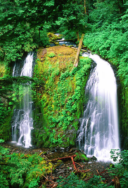 Upper McCord Creek Falls, John B. Yeon State Park