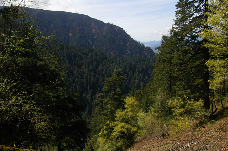 Wauna Point from Ruckel Creek Trail