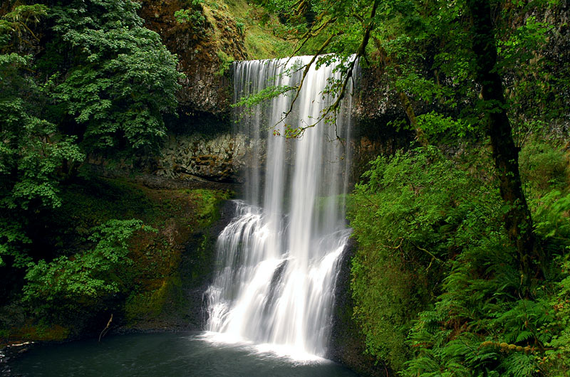 Lower South Falls, Silver Falls State Park