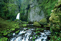 Wahclella Falls Thumbnail