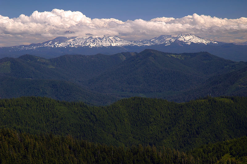 Three Sisters from Tidbits Mountain