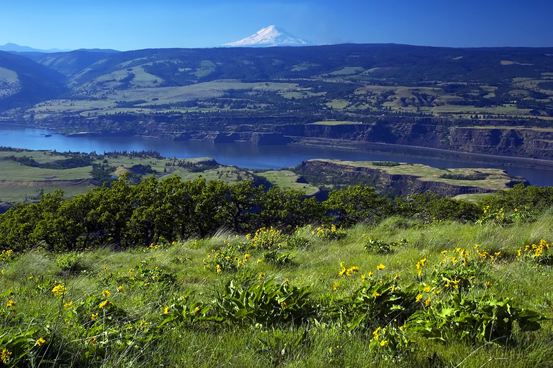 View from Tom McCall trail #2