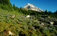 Vista Ridge Thumbnail